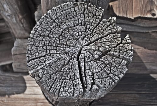 Cracked butt log walls of the old barn