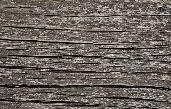 Close up of grey weathered cracked board texture