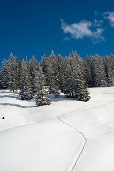 Snowshoe traces in fresh snow leading to a forest in Montafon, Austria