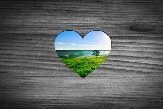 A wood door with a cutout heart look into nature