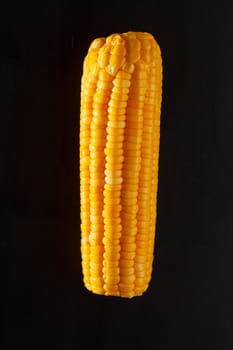 corn on black background