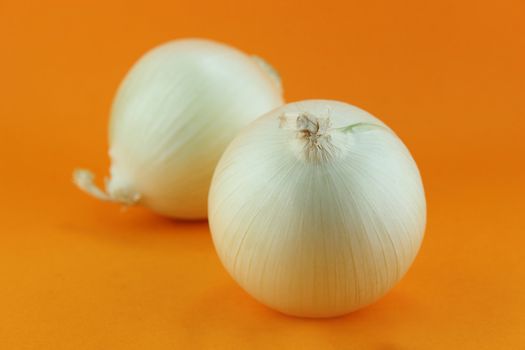 Ripe white onions on orange background.