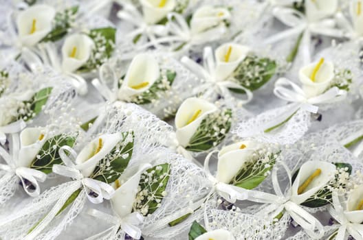 Group of Calla Lily boutonnieres used on a wedding.