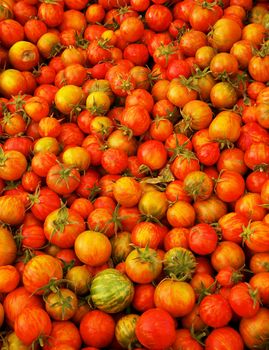 Pile of Red Juicy  Small Heirloom Tomatoes with softer background at the farmers market

