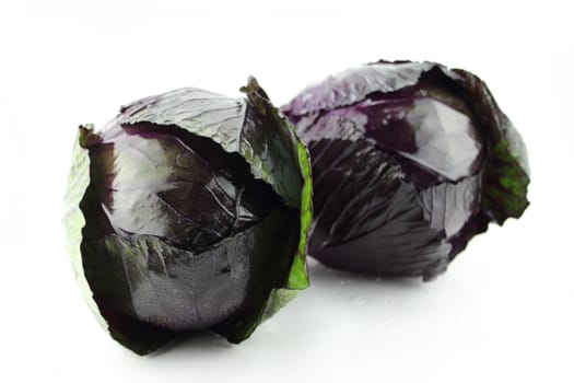 fresh red cabbage on a white background