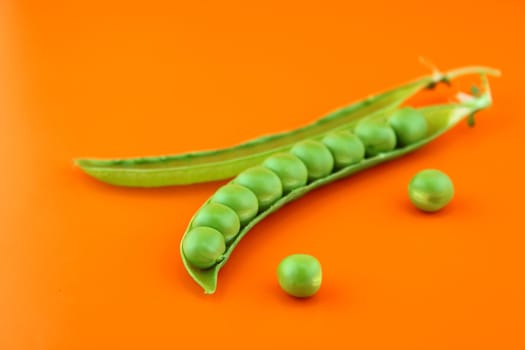 fresh pea fruit on orange background .