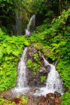 Falls in jungle on island Bali