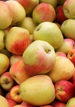 ripe fresh apples as an agricultural background