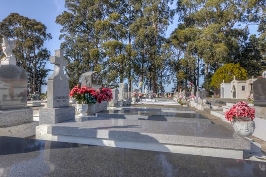 Lines of Grave Markers at San Carlos Cemetery.