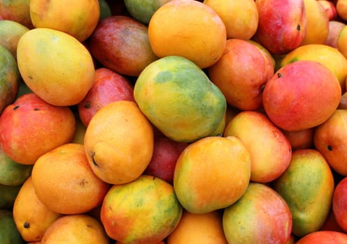 ripe mango fruit as agricultural background