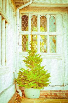 Nice textured image of a christmas tree outside a medieval english house
