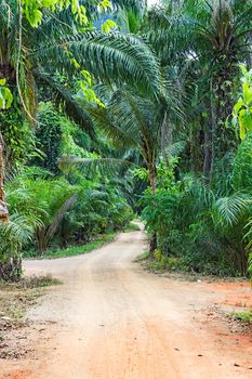 nature of the island of Phuket,Thailand