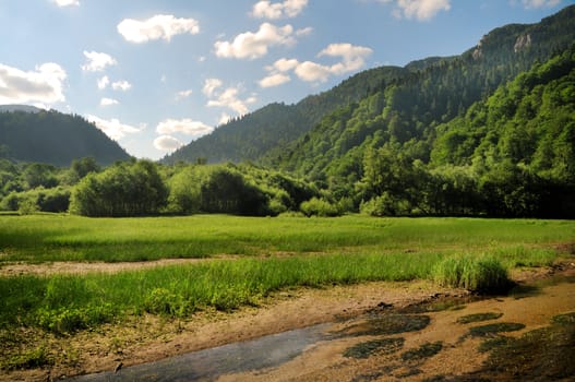 Landscape with river, meadow, forest, mountains and sky with clouds