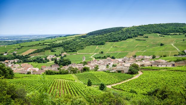 Old village Solutre-Pouilly with vineyards, Burgundy, France