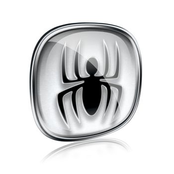 Virus icon grey glass, isolated on white background.