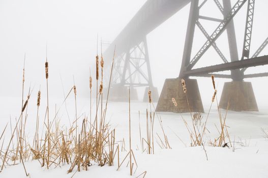 Marsh in the foreground with train bridge lost in the fog