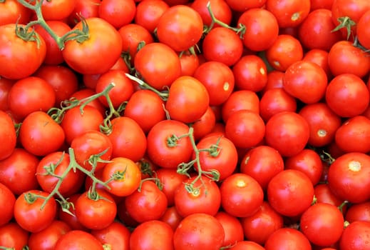 red tomato as an agricultural background