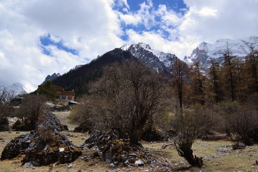 Tibetan mani stones  by snow mountain  in Daocheng,Sichuan Province, China