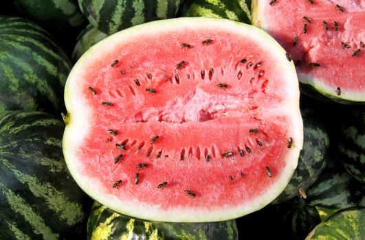 Organic Ripe Watermelon Heap at a street market