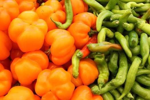 sweet yellow peppers and green chili peppers as an agricultural background