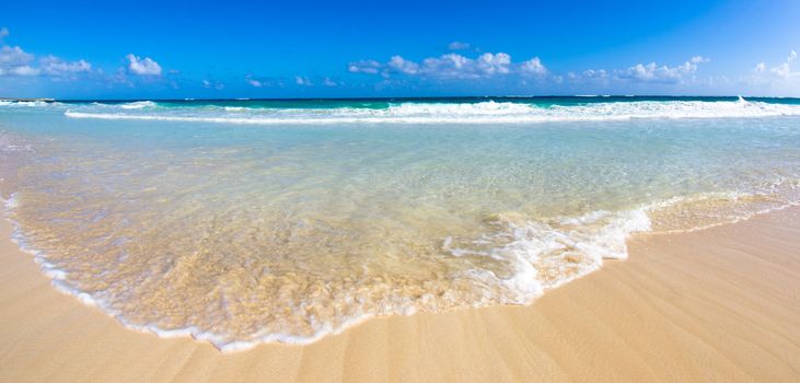 beach and beautiful tropical sea