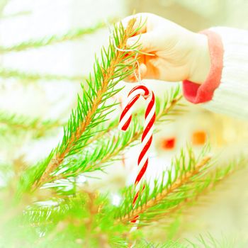 Child;s hands putting a candy cane on a christmas tree