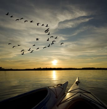 Kayaks on Lake Ontario at sunset with geese loking to landing on the water