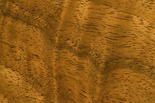 Macro image of ornate antique wood grain.