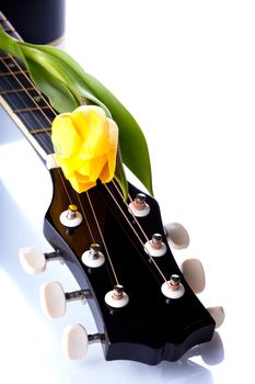 Guitar and yellow tulip. Musical instrument. Detail of a musical instrument. Strings on a guitar.