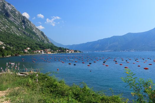 Mussel farm on beautiful Unesco protected Kotor Bay Montenegro