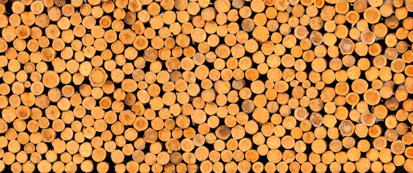 Background of dry chopped firewood logs stacked up on top of each other in a pile