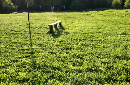 texture of the green grass lawn