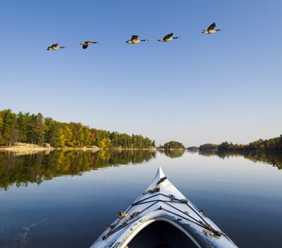 Tranquil lake in autumn with a reflection of the wilderness island with kayak in the foreground and geese flying above