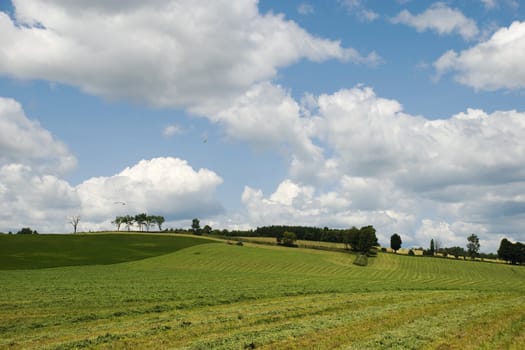 Farmer haying a large field with big sky and white clouds