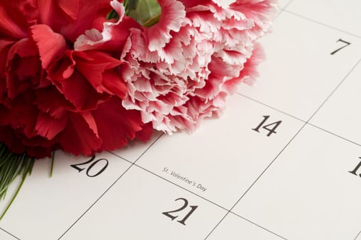 Bouquet of Carnations on Valentine's Day calender