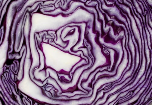 Abstract purple cabbage background, find ET.