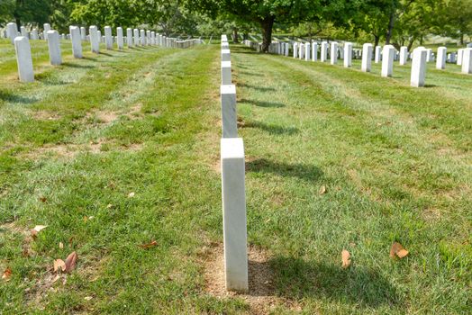 Arlington National Cemetary in Washington DC