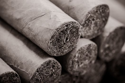Cigars