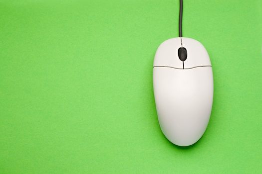 Computer mouse isolated on the green background