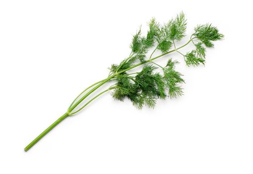 Dill isolated on white