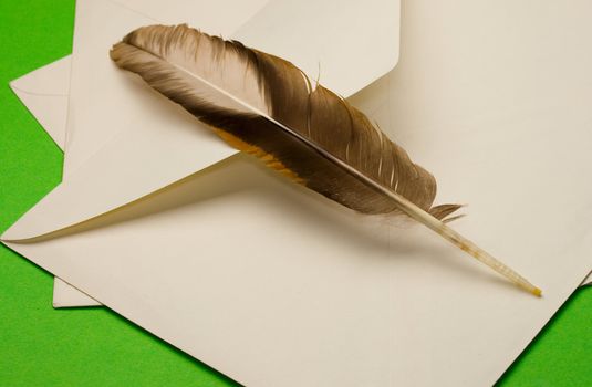 Envelope and feather isolated on green