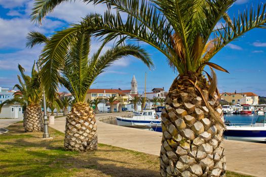 Dalmatian town of Pakostane palm tree waterfront walkway, Dalmatia, Croatia