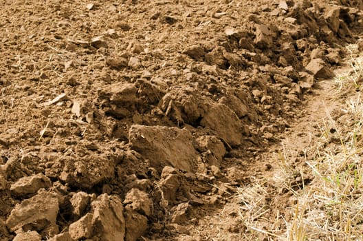 closeup of freshly plowed agricultural field soil land ground after harvest.