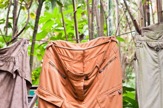 Clothes hanging on a washing line in a lush garden
