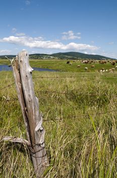 Fence post in the foreground with water and large field with cows and a small Atlantic town in the background