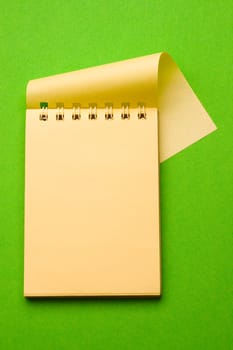 Notepad isolated on the green background