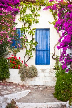 Colorful plants in the Old Village, Alonissos, Greece