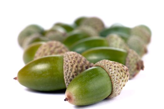 Heap of green acorns isolated on white background