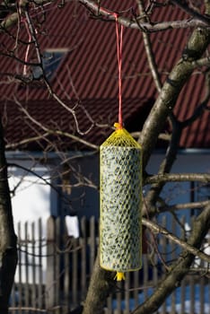 birdtable 