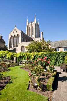 St Edmundsbury Cathedral in England, with a rose garden in the foreground
